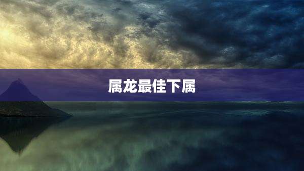 属龙最佳下属
