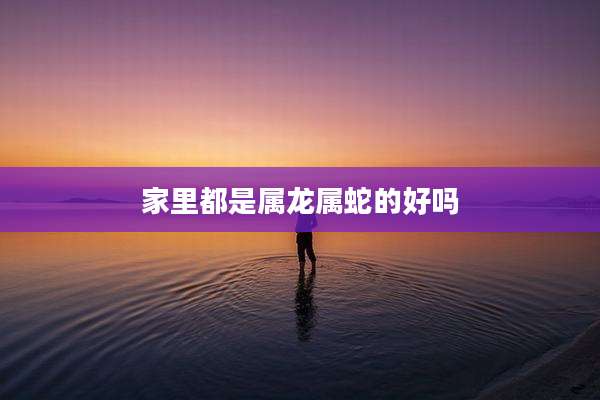 家里都是属龙属蛇的好吗
