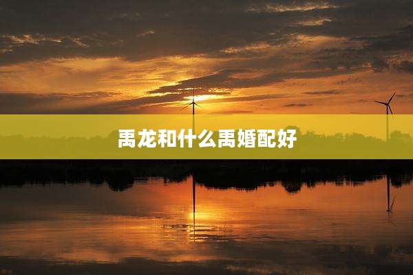 禹龙和什么禹婚配好