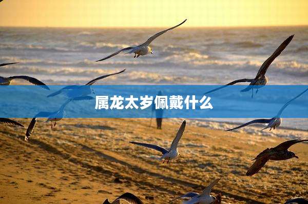 属龙太岁佩戴什么