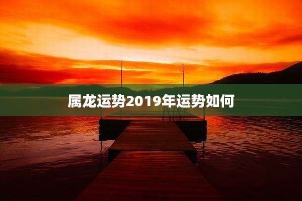 属龙运势2019年运势如何