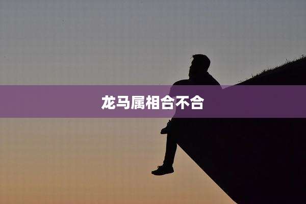 龙马属相合不合