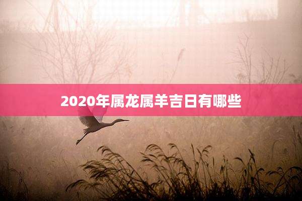 2020年属龙属羊吉日有哪些