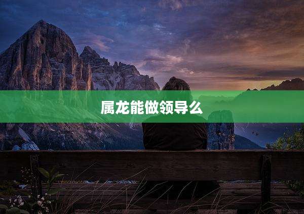 属龙能做领导么