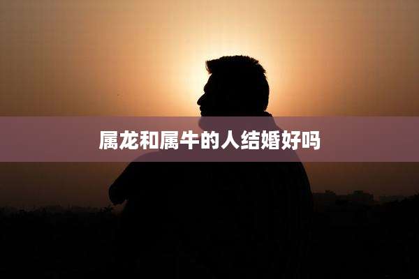 属龙和属牛的人结婚好吗