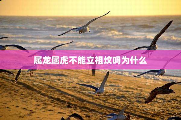 属龙属虎不能立祖坟吗为什么