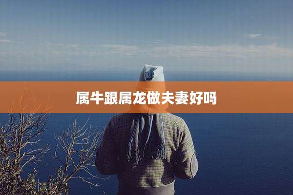属牛跟属龙做夫妻好吗