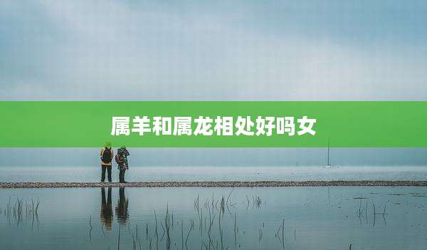 属羊和属龙相处好吗女