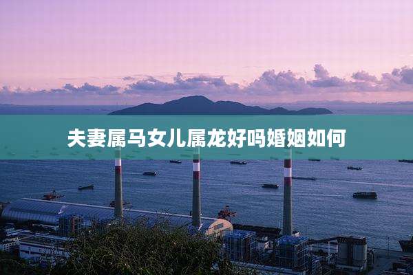 夫妻属马女儿属龙好吗婚姻如何