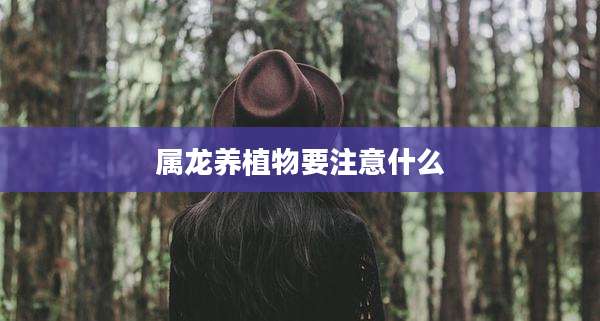 属龙养植物要注意什么