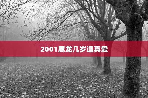 2001属龙几岁遇真爱
