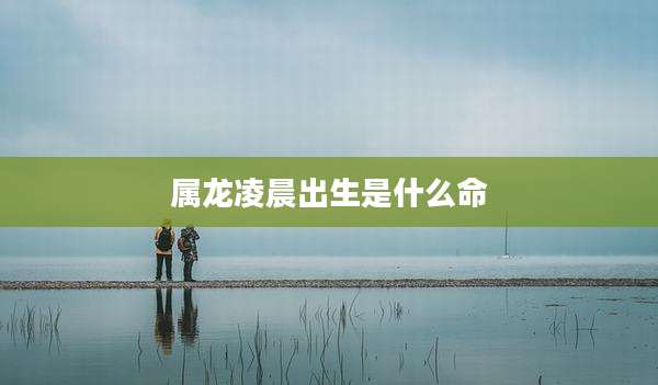 属龙凌晨出生是什么命