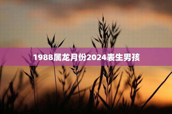 1988属龙月份2024表生男孩