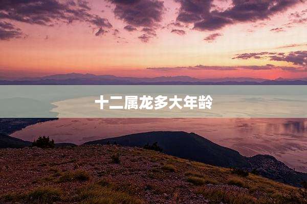 十二属龙多大年龄
