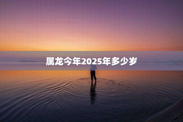 属龙今年2025年多少岁