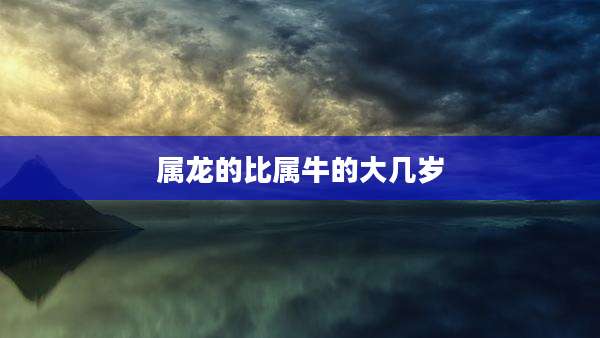 属龙的比属牛的大几岁