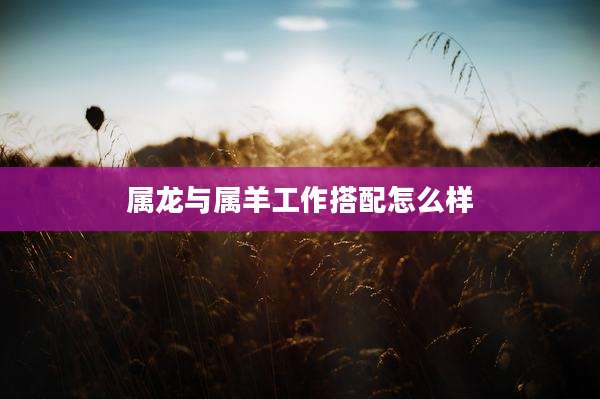 属龙与属羊工作搭配怎么样