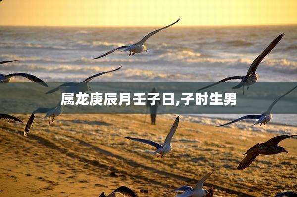 属龙庚辰月壬子日,子时生男