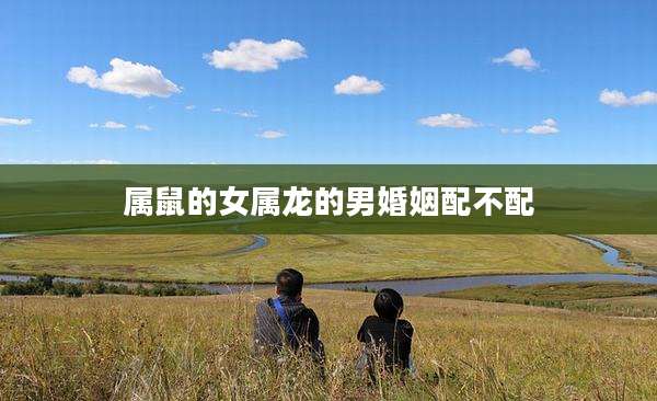属鼠的女属龙的男婚姻配不配
