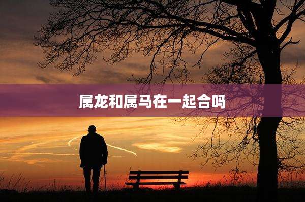 属龙和属马在一起合吗
