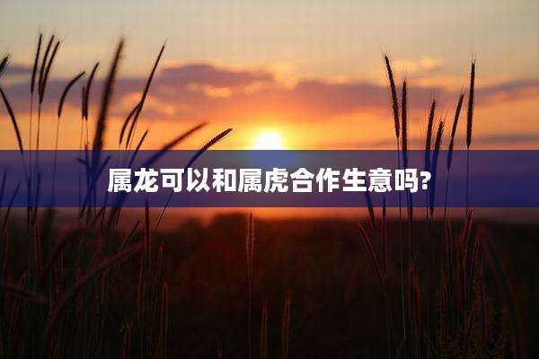 属龙可以和属虎合作生意吗?