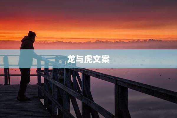 龙与虎文案