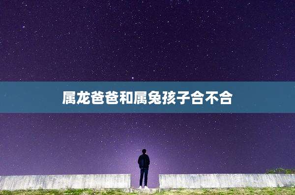 属龙爸爸和属兔孩子合不合