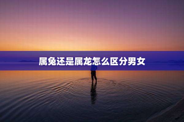 属兔还是属龙怎么区分男女