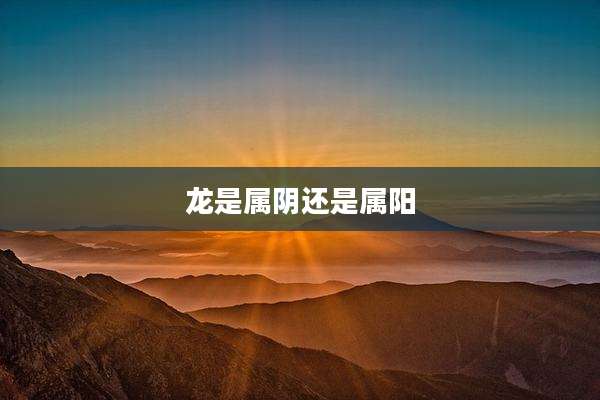 龙是属阴还是属阳