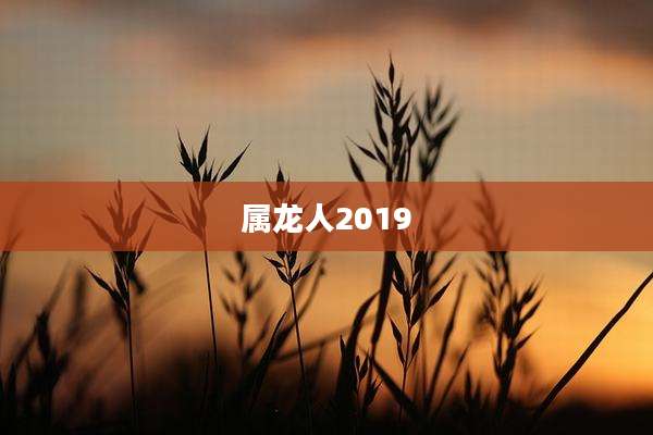属龙人2019