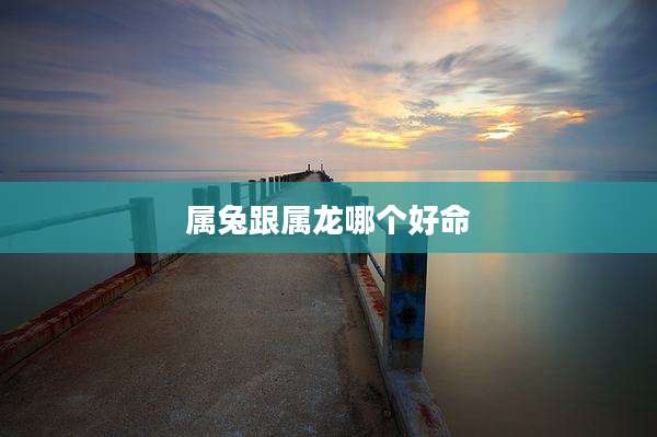 属兔跟属龙哪个好命