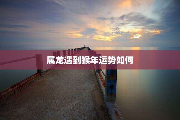 属龙遇到猴年运势如何