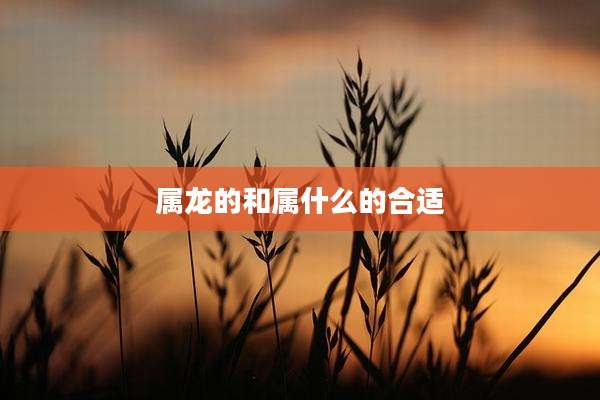 属龙的和属什么的合适