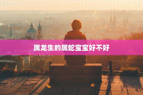 属龙生的属蛇宝宝好不好