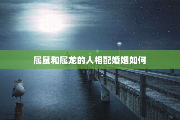 属鼠和属龙的人相配婚姻如何