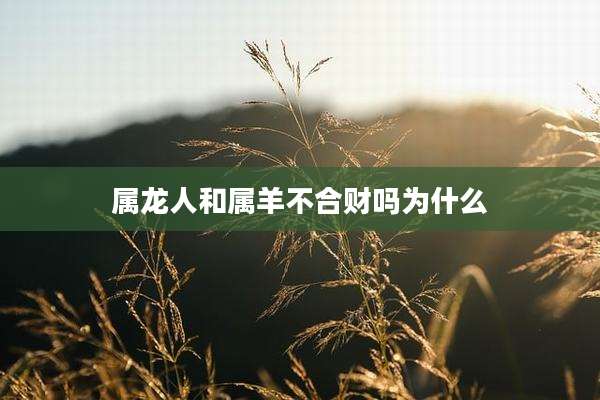 属龙人和属羊不合财吗为什么