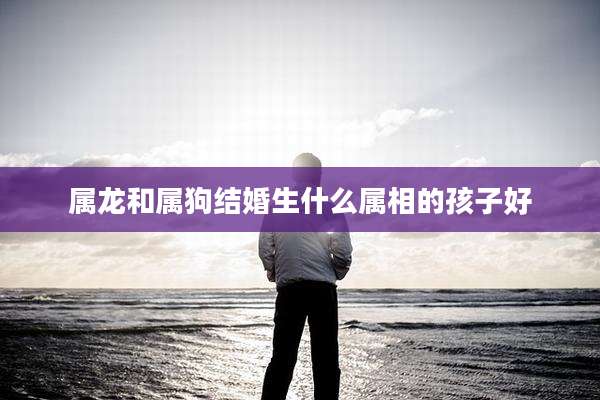 属龙和属狗结婚生什么属相的孩子好