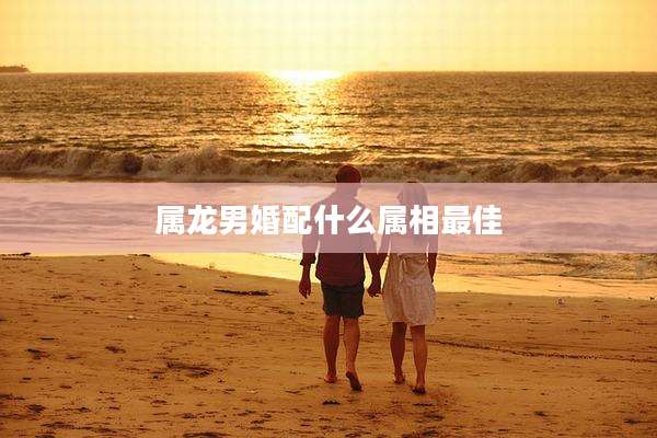 属龙男婚配什么属相最佳
