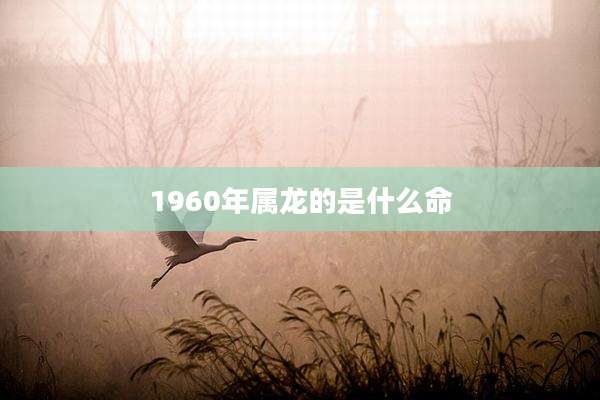 1960年属龙的是什么命