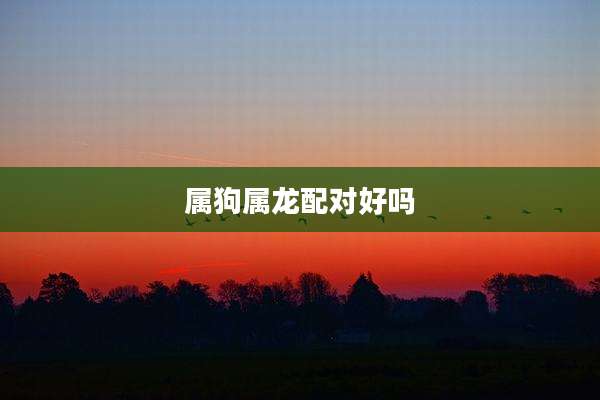 属狗属龙配对好吗