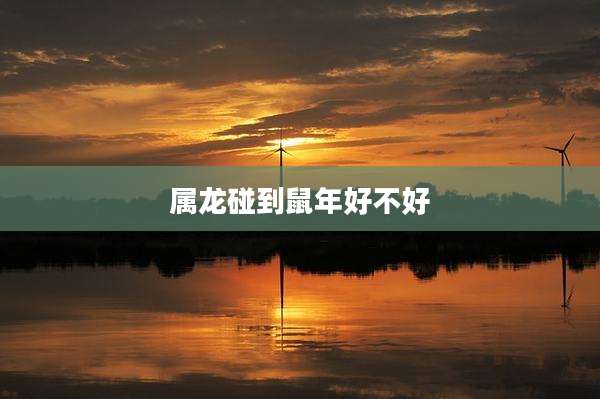 属龙碰到鼠年好不好