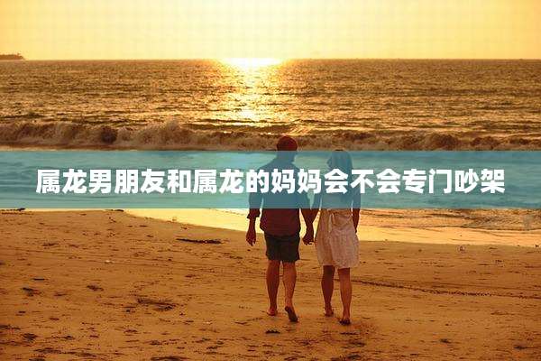 属龙男朋友和属龙的妈妈会不会专门吵架