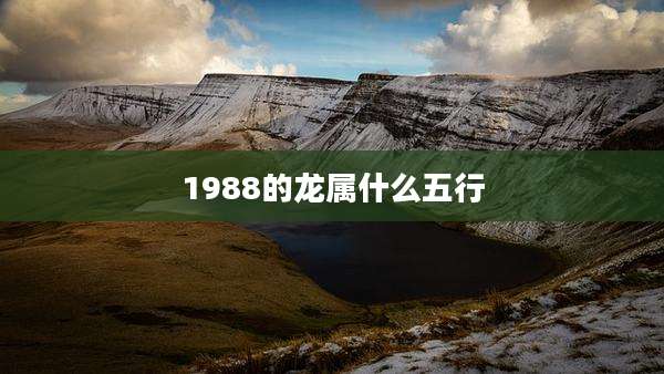 1988的龙属什么五行