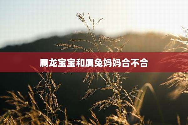 属龙宝宝和属兔妈妈合不合