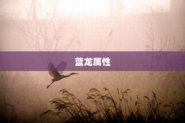 蓝龙属性
