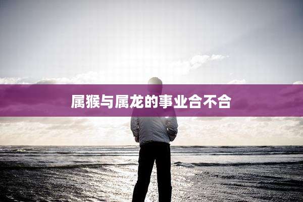 属猴与属龙的事业合不合