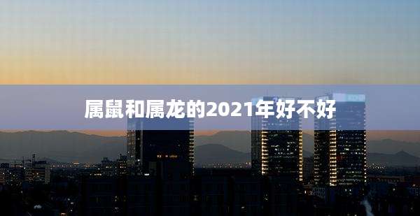 属鼠和属龙的2021年好不好