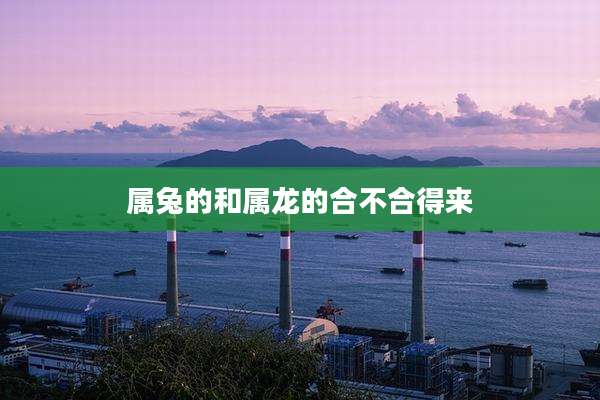 属兔的和属龙的合不合得来