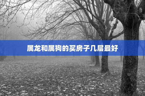 属龙和属狗的买房子几层最好