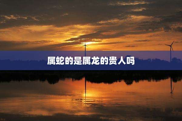 属蛇的是属龙的贵人吗